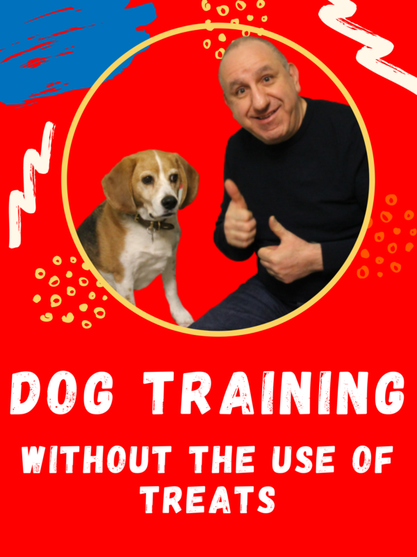 Dog Training Without The Use Of Treats Or Food
