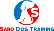 Saro Dog Training