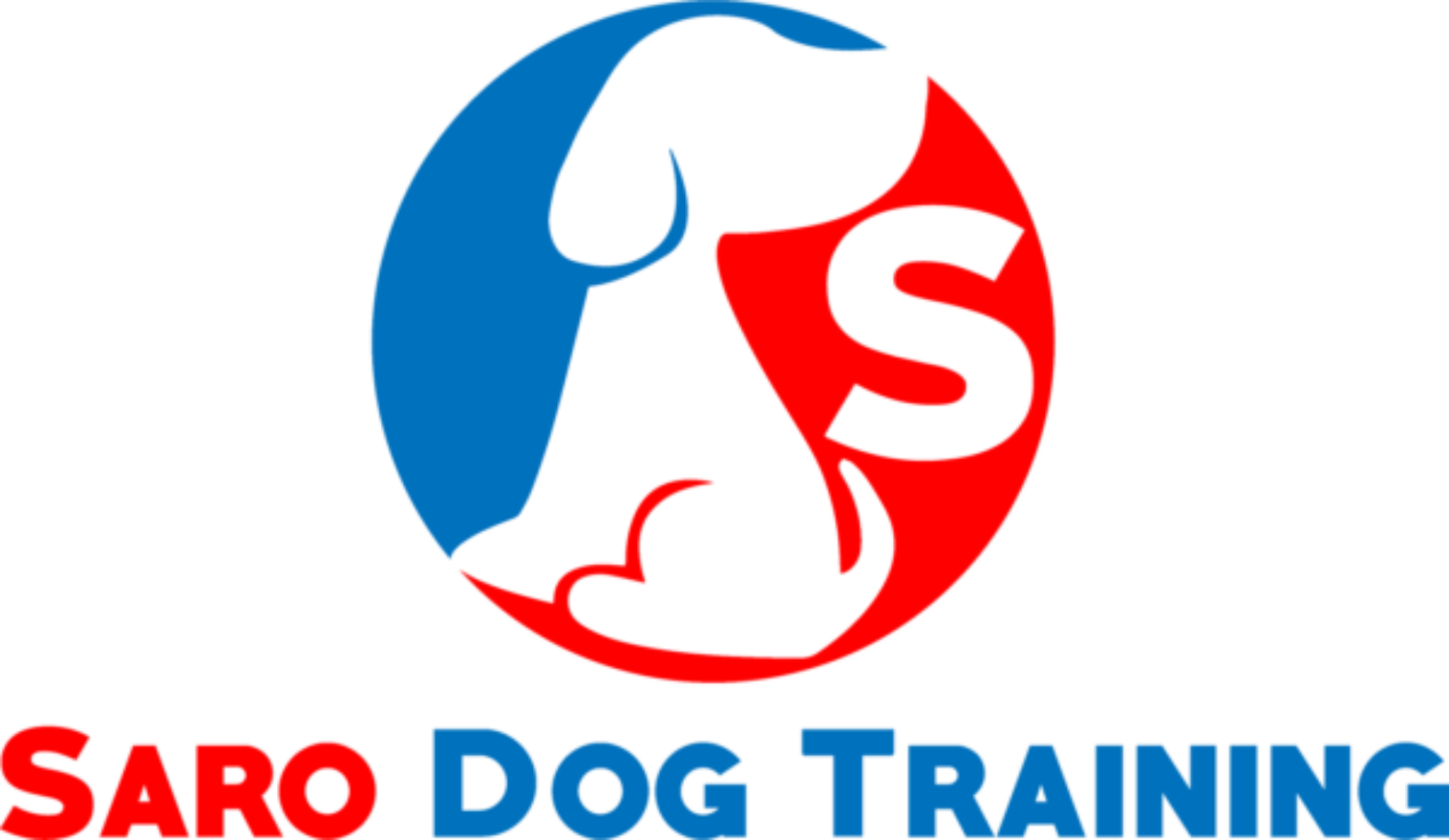 Saro Dog Training – Simple & Healthy Dog Training