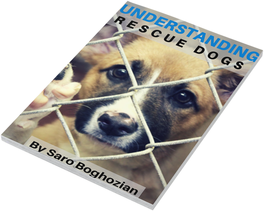 Dog Training Books For Adults written by Saro Dog Training