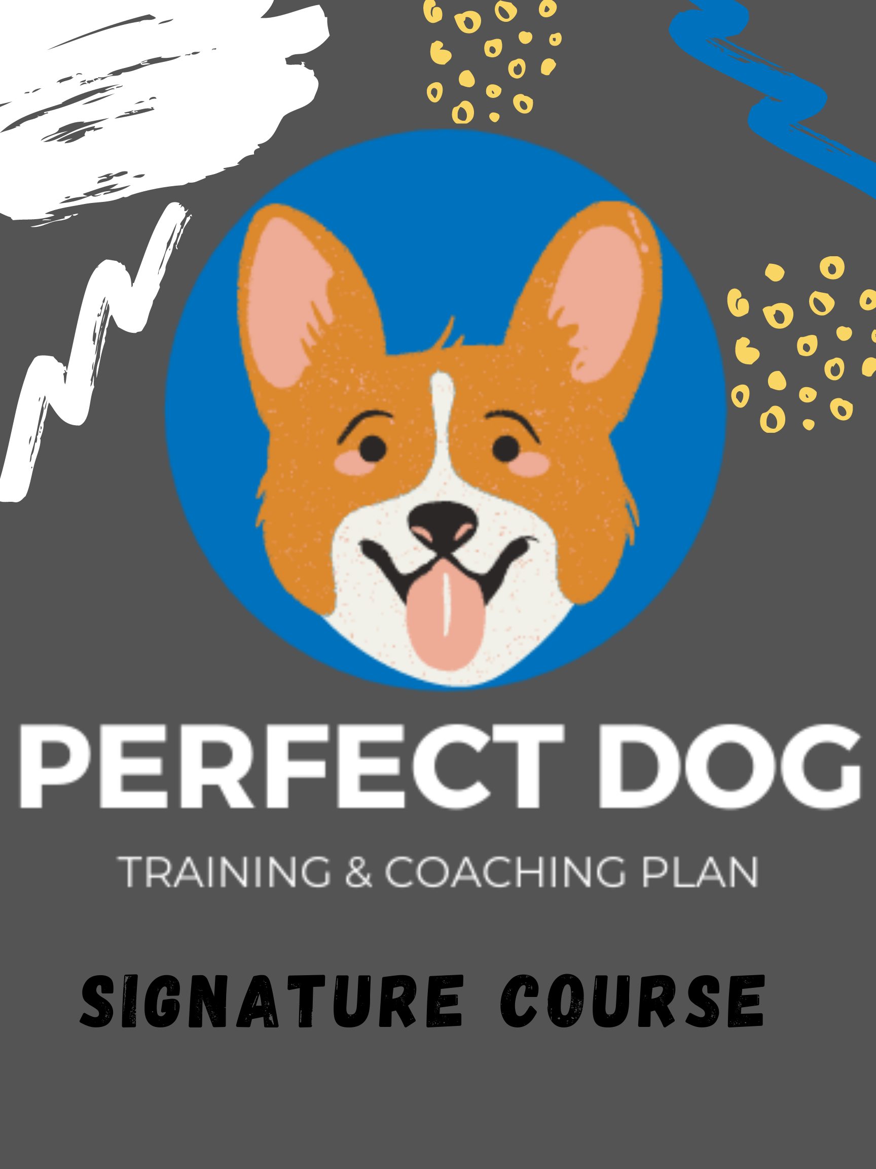 Dog training without treats