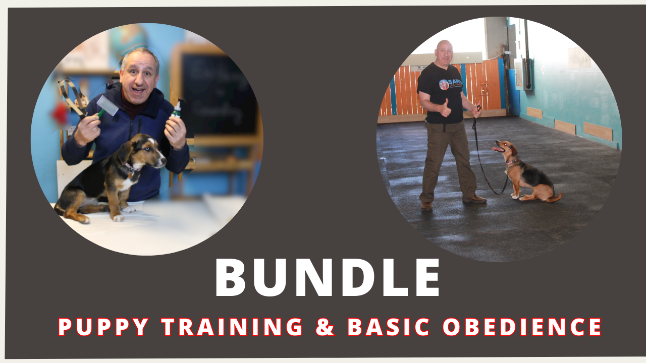 Puppy Training and Basic Obedience Training Bundle