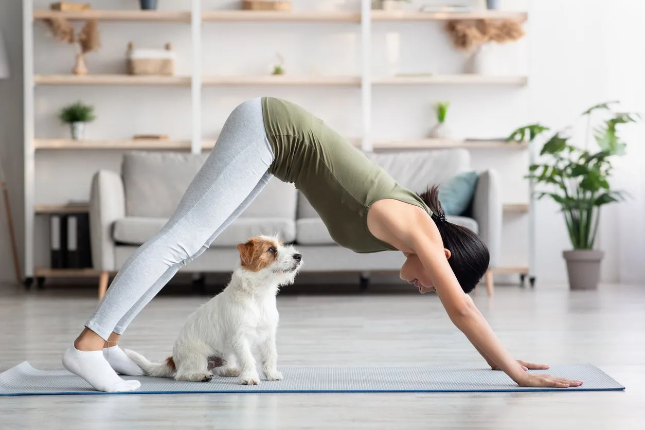 Improve Your Health With Fitness For A Better Behaving Dog